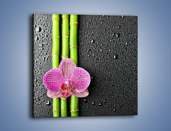 Obraz na płótnie – Kwiat na bambusie – jednoczęściowy kwadratowy K519
