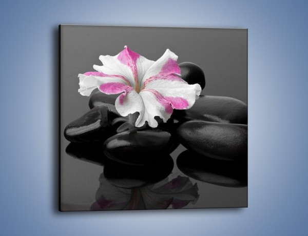 Obraz na płótnie – Czarna tafla z kwiatem – jednoczęściowy kwadratowy K520