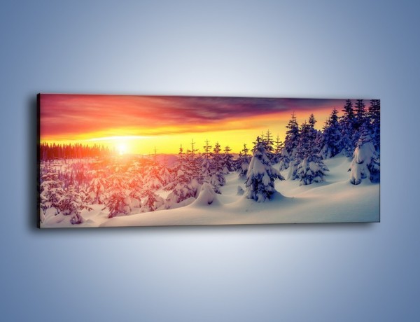 Obraz na płótnie – Świat zatopiony w śniegu – jednoczęściowy panoramiczny KN953