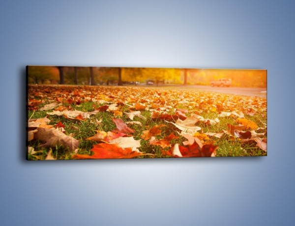 Obraz na płótnie – Jesień na trawie – jednoczęściowy panoramiczny KN966