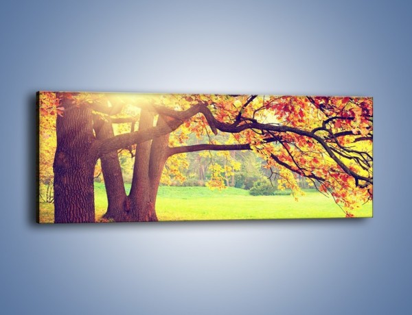 Obraz na płótnie – Jesienią w parku też jest pięknie – jednoczęściowy panoramiczny KN967