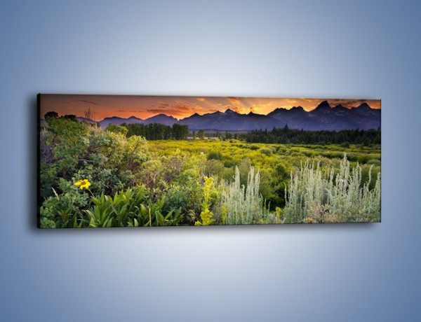 Obraz na płótnie – Wieczorny spokój na polanie – jednoczęściowy panoramiczny KN987