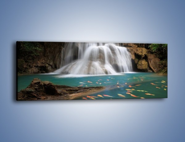 Obraz na płótnie – Wodospad i kolorowe rybki – jednoczęściowy panoramiczny KN994