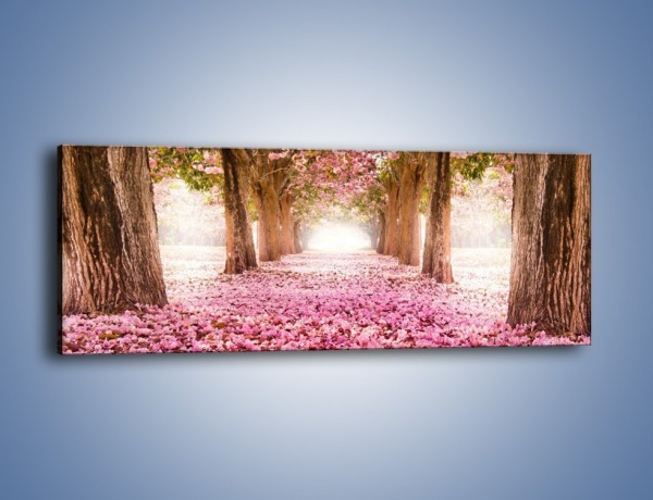 Obraz na płótnie – Świat usłany kwiatami – jednoczęściowy panoramiczny KN998