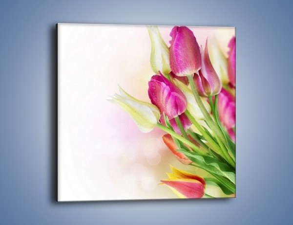 Obraz na płótnie – Kolorowa moc tulipanowa – jednoczęściowy kwadratowy K549