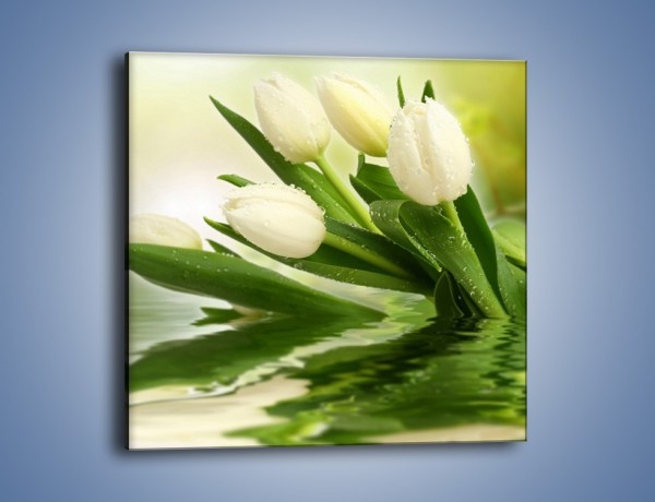 Obraz na płótnie – Tulipany w wodnym świecie – jednoczęściowy kwadratowy K552