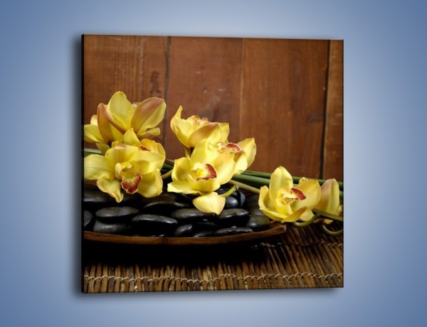 Obraz na płótnie – Kwiaty na drewnianym naczyniu – jednoczęściowy kwadratowy K575