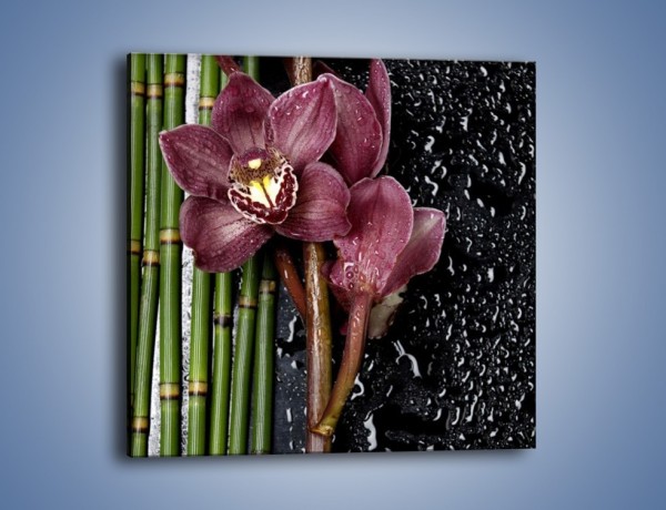 Obraz na płótnie – Bordo kwiata wśród bambusów – jednoczęściowy kwadratowy K576