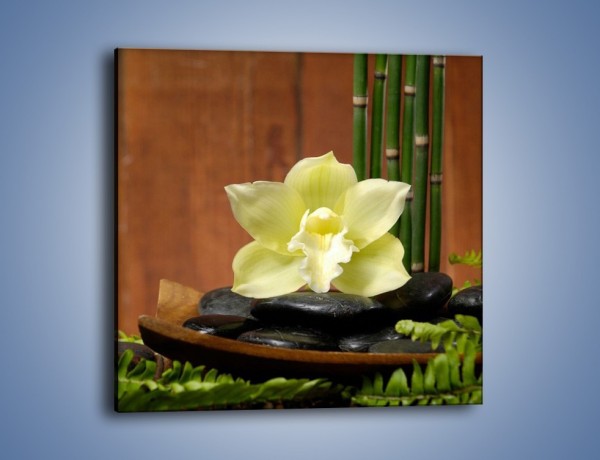 Obraz na płótnie – Kwiat na liściach paproci – jednoczęściowy kwadratowy K577