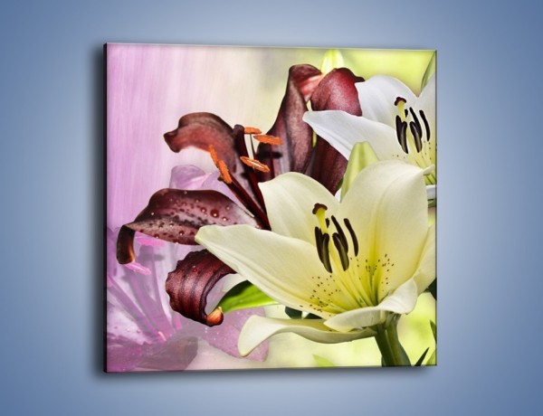 Obraz na płótnie – Podwójna twarz lilii – jednoczęściowy kwadratowy K584