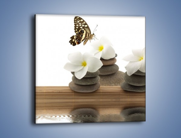 Obraz na płótnie – Motyl na kwiatowej kompozycji – jednoczęściowy kwadratowy K585