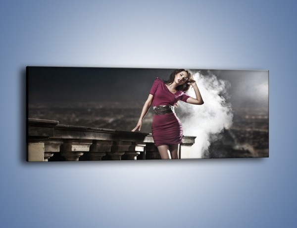 Obraz na płótnie – Wieczorny spacer w dymie – jednoczęściowy panoramiczny L070