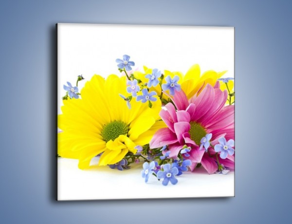 Obraz na płótnie – Niezapominajki wśród kwiatów – jednoczęściowy kwadratowy K604