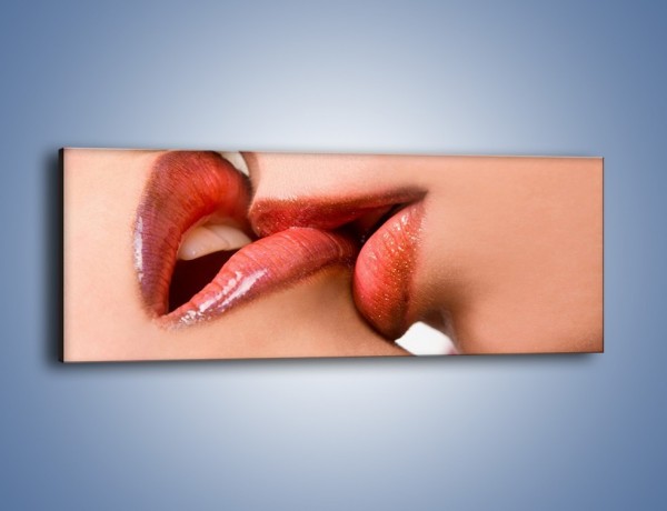 Obraz na płótnie – Krwisty pocałunek – jednoczęściowy panoramiczny L111