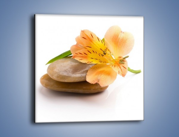 Obraz na płótnie – Kwiat jak mango – jednoczęściowy kwadratowy K631