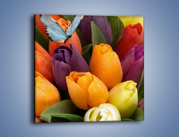 Obraz na płótnie – Tulipany patrzące na motyla – jednoczęściowy kwadratowy K636