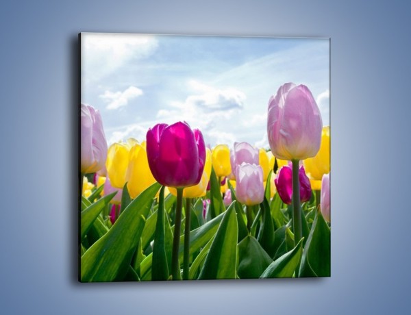 Obraz na płótnie – Kwiaty na tle chmur – jednoczęściowy kwadratowy K638