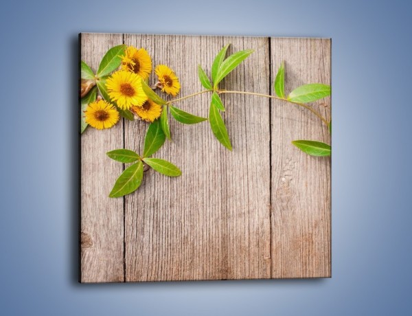 Obraz na płótnie – Słoneczne kwiatuszki na deskach – jednoczęściowy kwadratowy K645