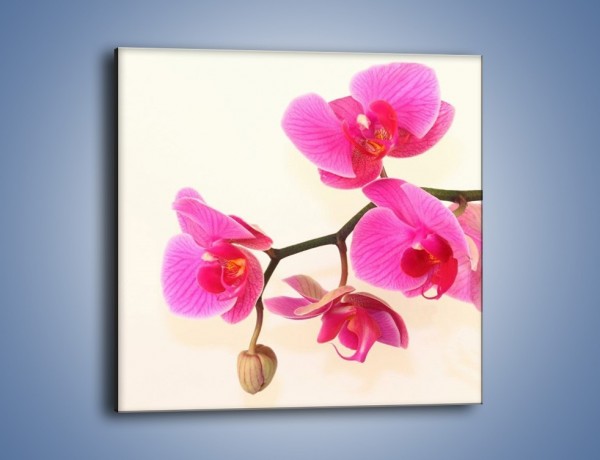 Obraz na płótnie – Pączek w towarzystwie kwiatów – jednoczęściowy kwadratowy K651