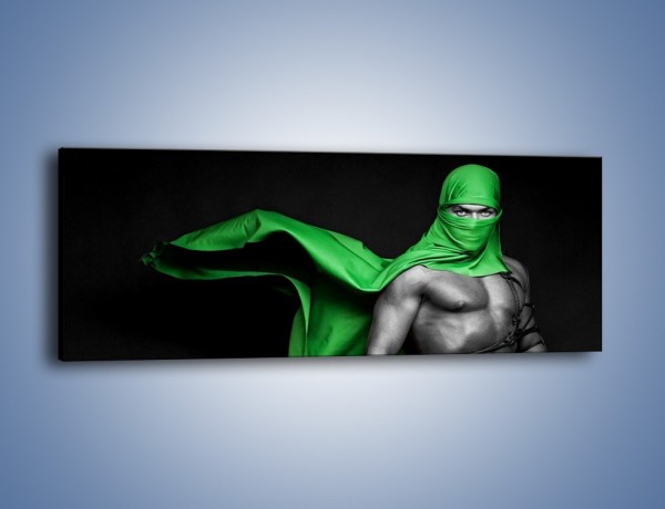 Obraz na płótnie – Zielony ninja – jednoczęściowy panoramiczny L245