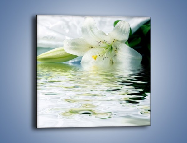 Obraz na płótnie – Czystość zachowana w lilii – jednoczęściowy kwadratowy K675