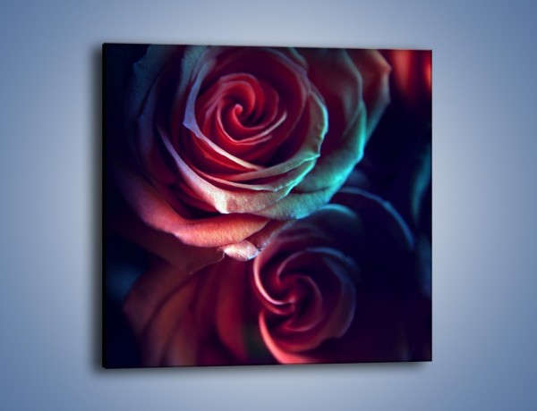 Obraz na płótnie – Ciemność różanych główek – jednoczęściowy kwadratowy K679