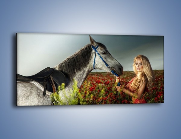 Obraz na płótnie – Kobieta koń i polana maków – jednoczęściowy panoramiczny L333