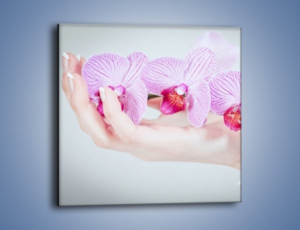Obraz na płótnie – Piękno kwiatów w dłoni – jednoczęściowy kwadratowy K690