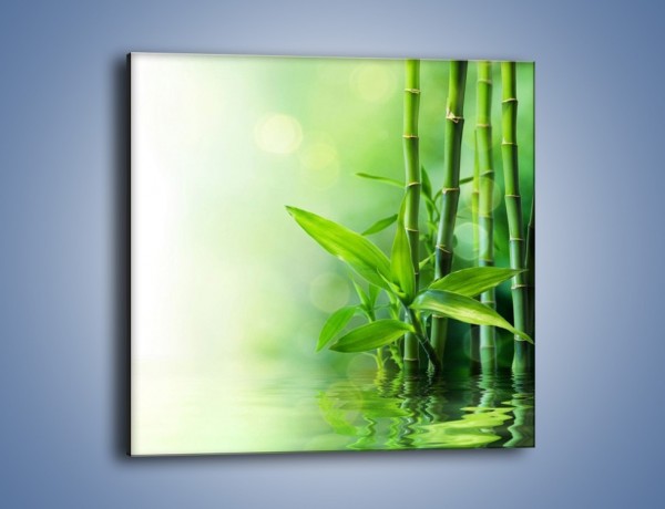 Obraz na płótnie – Bambusowe łodygi w roli głównej – jednoczęściowy kwadratowy K704