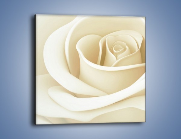 Obraz na płótnie – Róża niczym delikatny krem – jednoczęściowy kwadratowy K708