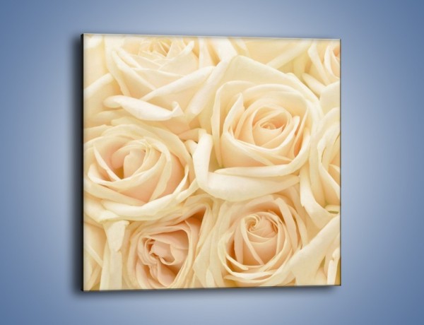 Obraz na płótnie – Bukiet herbacianych róż – jednoczęściowy kwadratowy K710