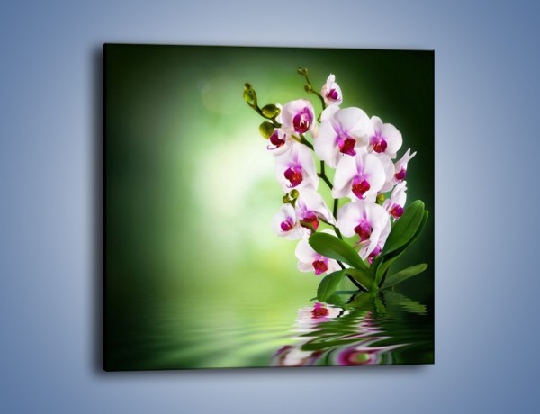 Obraz na płótnie – Kwiaty o zmierzchu – jednoczęściowy kwadratowy K726