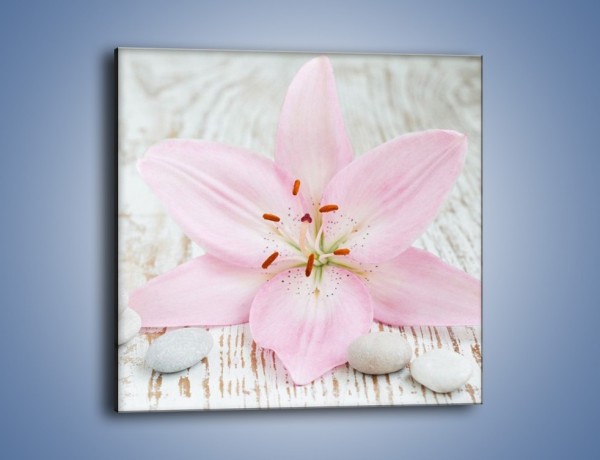 Obraz na płótnie – Cała słodycz w lilii – jednoczęściowy kwadratowy K727