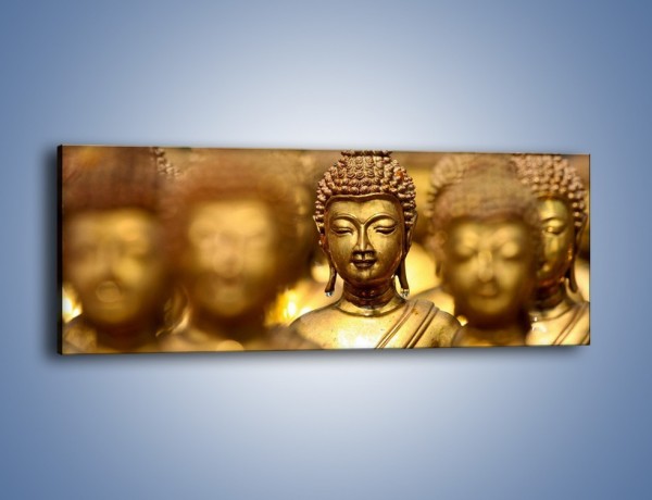 Obraz na płótnie – Złote buddy w słońcu – jednoczęściowy panoramiczny O111