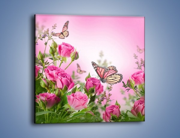 Obraz na płótnie – Motyle różowe jak kwiaty – jednoczęściowy kwadratowy K741