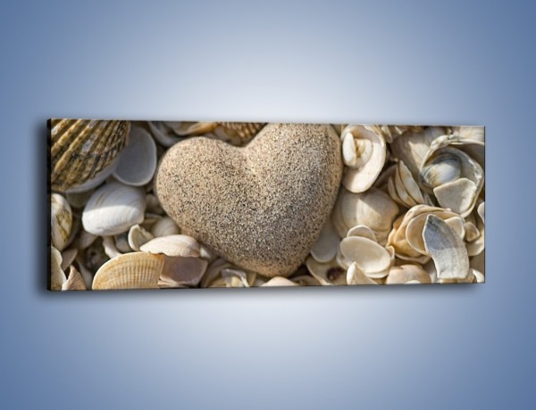 Obraz na płótnie – Miłość do muszli i morza – jednoczęściowy panoramiczny O132