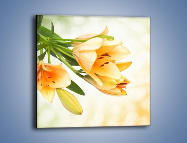Obraz na płótnie – Łososiowe pachnące lilie – jednoczęściowy kwadratowy K755