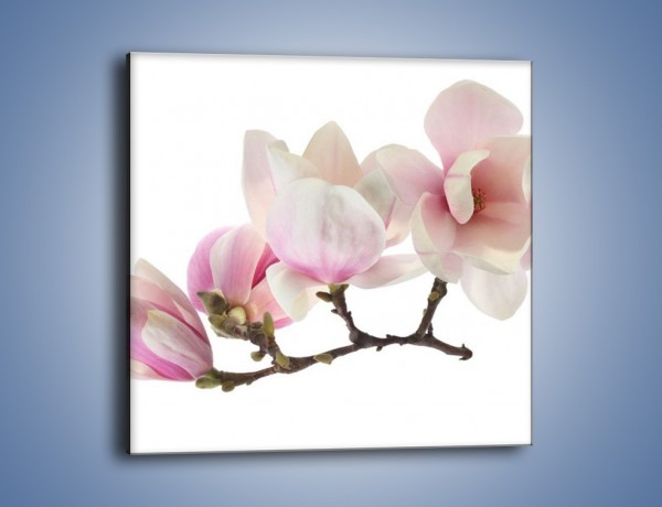 Obraz na płótnie – Obcięte gałązki białych różowych kwiatów – jednoczęściowy kwadratowy K783