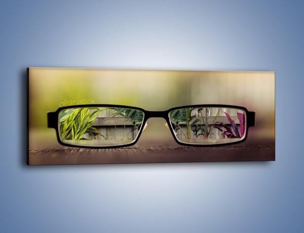 Obraz na płótnie – Świat widziany przez okulary – jednoczęściowy panoramiczny O197
