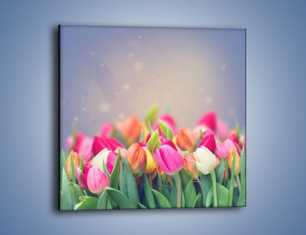 Obraz na płótnie – Tulipany i baśniowy widok – jednoczęściowy kwadratowy K793
