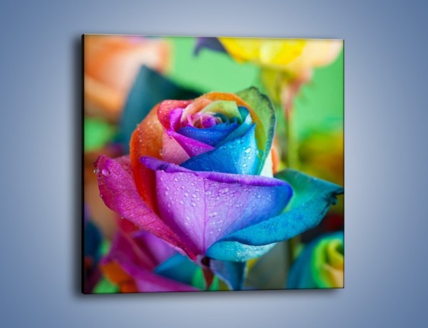 Obraz na płótnie – Kolorowe obietnice i róże – jednoczęściowy kwadratowy K797