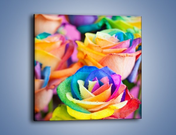 Obraz na płótnie – Wąskie grono kolorowych kwiatów – jednoczęściowy kwadratowy K799