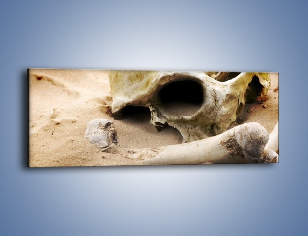 Obraz na płótnie – Starodawne wykopaliska – jednoczęściowy panoramiczny O254