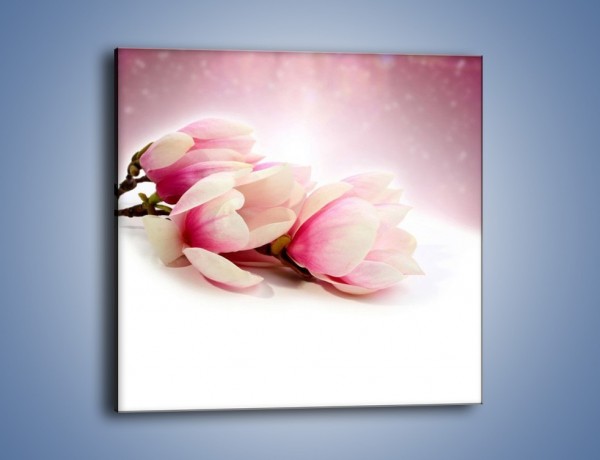 Obraz na płótnie – Gałąź magnolii na obłoku – jednoczęściowy kwadratowy K817