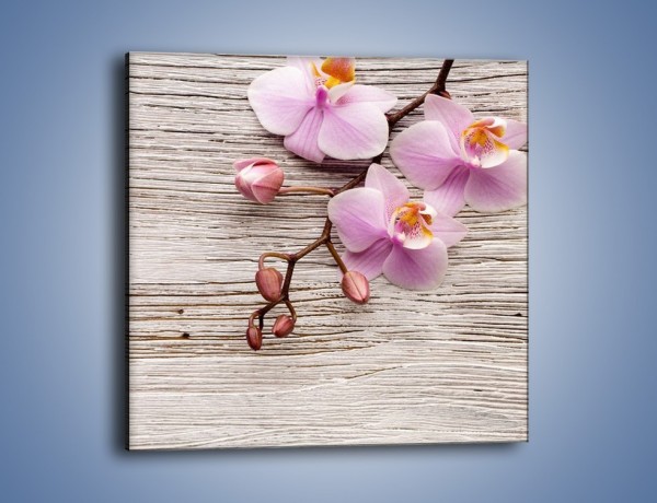 Obraz na płótnie – Kwiaty na drewnianej belce – jednoczęściowy kwadratowy K825