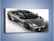 Obraz na płótnie – Lamborghini Reventon Roadster – jednoczęściowy panoramiczny TM042