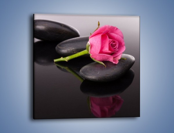 Obraz na płótnie – Ścięta róża na czarnej tafli – jednoczęściowy kwadratowy K832