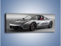 Obraz na płótnie – TAG Heuer Tesla Roadster – jednoczęściowy panoramiczny TM055