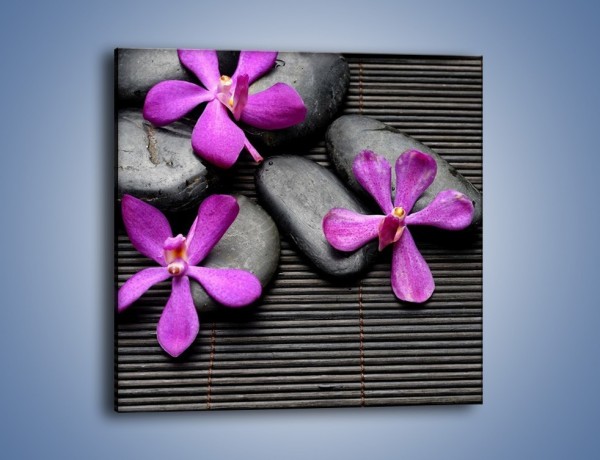 Obraz na płótnie – Surowość natury i kwiat – jednoczęściowy kwadratowy K835