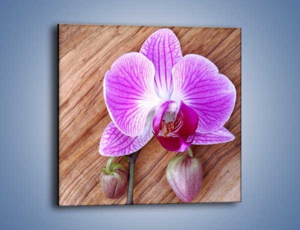Obraz na płótnie – Kwiat na drewnianych słojach – jednoczęściowy kwadratowy K850